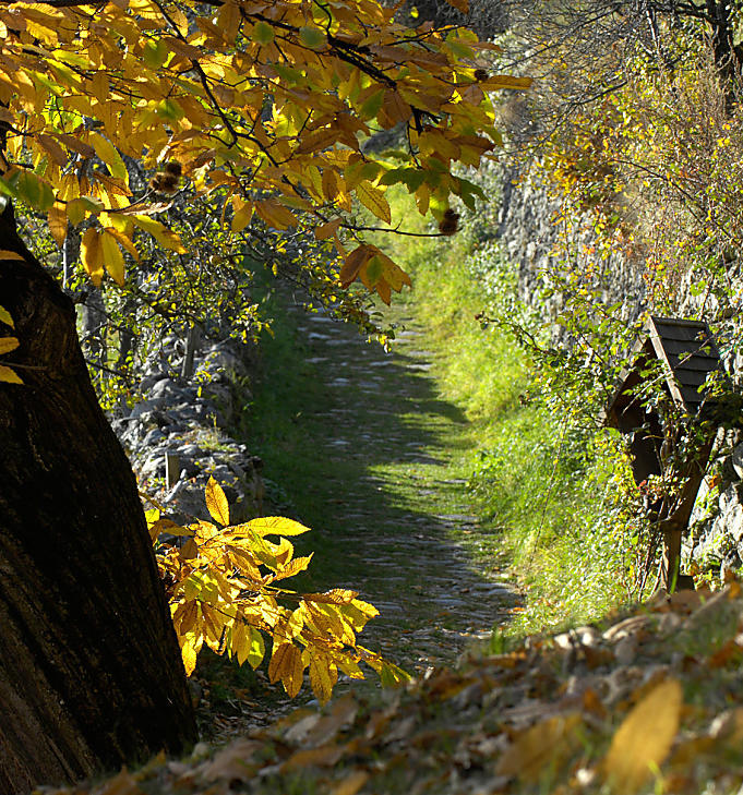 Keschtnweg: herfstjuweel in het Eisackdal