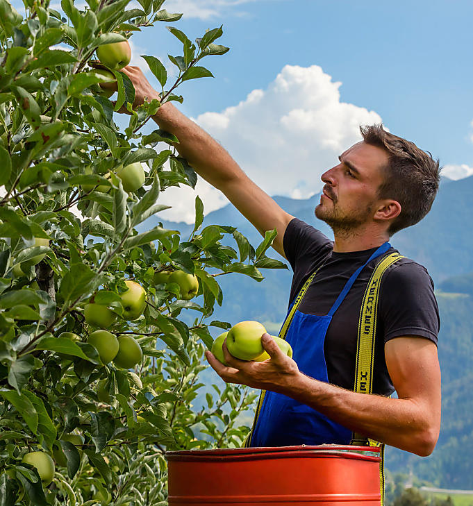 Het dagelijkse boerenleven in Zuid-Tirol meemaken