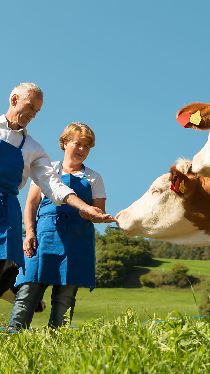 Verlangen naar een boerderij - neem een duik  in het leven op de boerderij