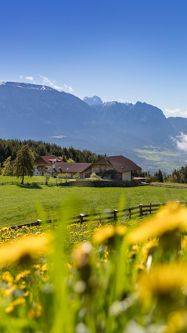 Vakantie op de boerderij met vakantiehuisjes in Zuid-Tirol