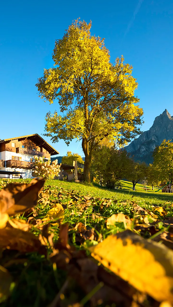 Vakantie op de boerderij in Zuid-Tirol: Roter Hahn presenteert meer dan 1600 vakantieboerderijen - aanbiedingen met vakantiehuisjes of kamers voor je vakantie in Zuid-Tirol