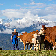 Levendige boerderij