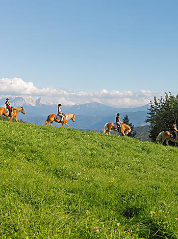 Paardrijvakantie in Zuid-Tirol: paardengefluister op de boerderij