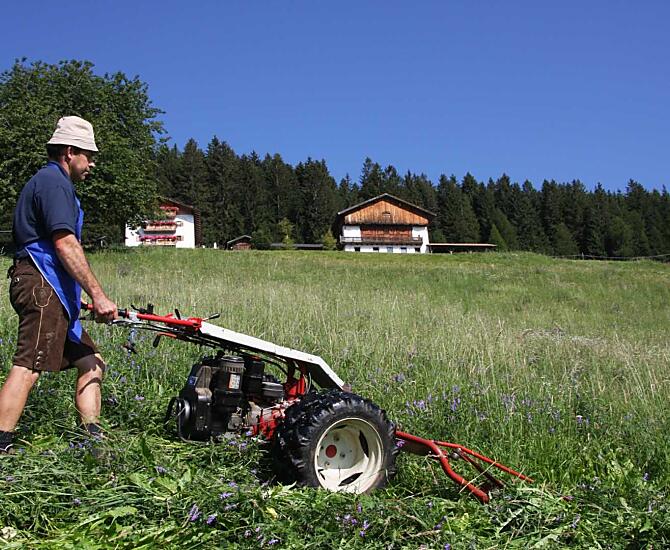 Het hooien begint en duurt enkele weken.