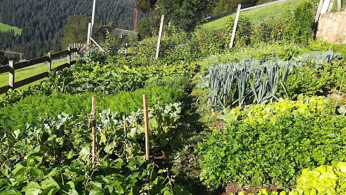 De boerentuin – met liefde en passie verzorgd