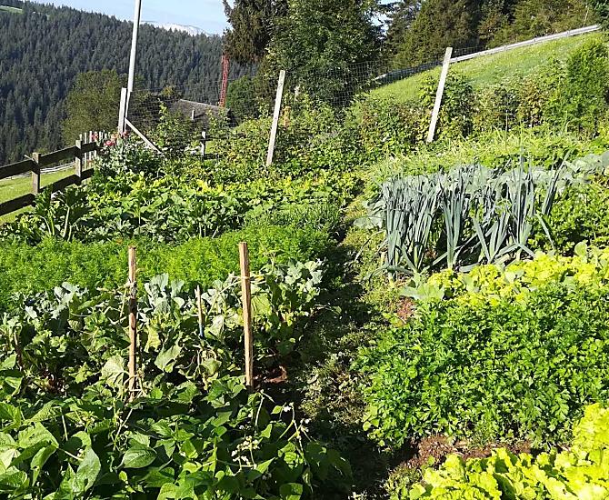De boerentuin – met liefde en passie verzorgd