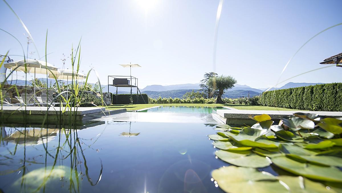 Natuurbad met waterlelies