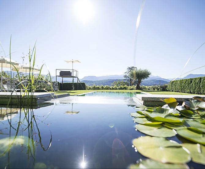Natuurbad met waterlelies