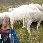 Hartmann Auer