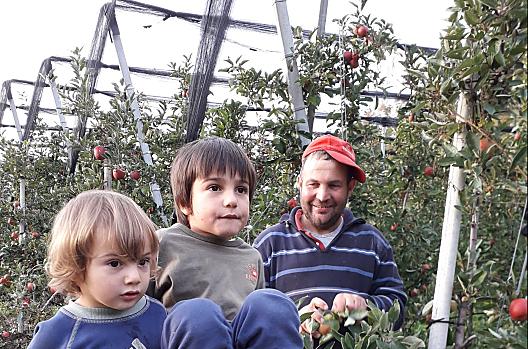 Anton, Felix en Moritz bij de appeloogst. Iedereen helpt mee en hoopt op een goede oogst.