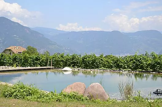 Oberberghof - Elenco Photo