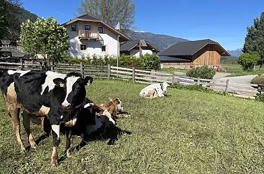 Obermair - Elenco Photo