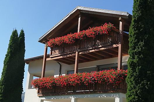 Panoramahof - Elenco Photo