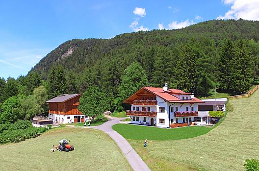 Felderhof - Elenco Photo