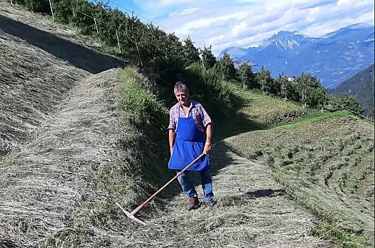 Hooien - veel werk wordt nog met de hand gedaan. Boer Sepp aan het werk.