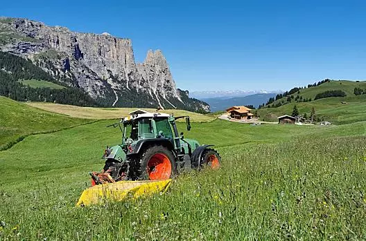 Hooimaaien op de alm