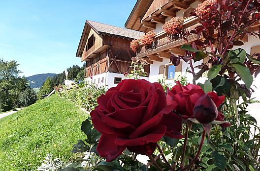 Oberpappinghof - Elenco Photo