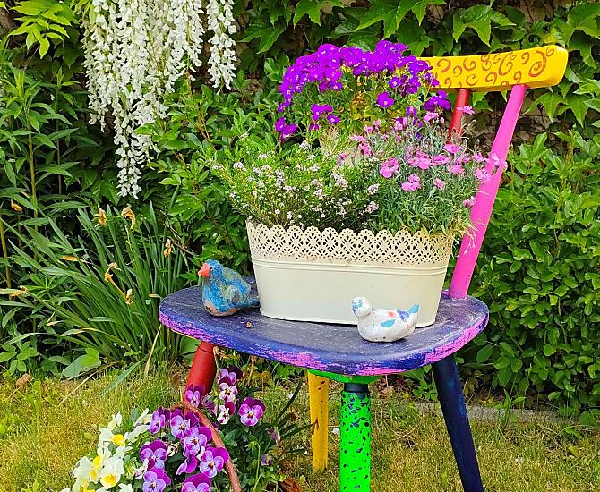 eerste lentebloemen