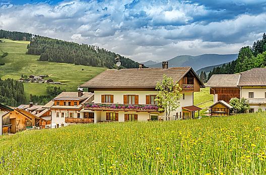 Ringlerhof - Elenco Photo