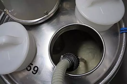 Ons witte goud - melk van de beste biologische kwaliteit