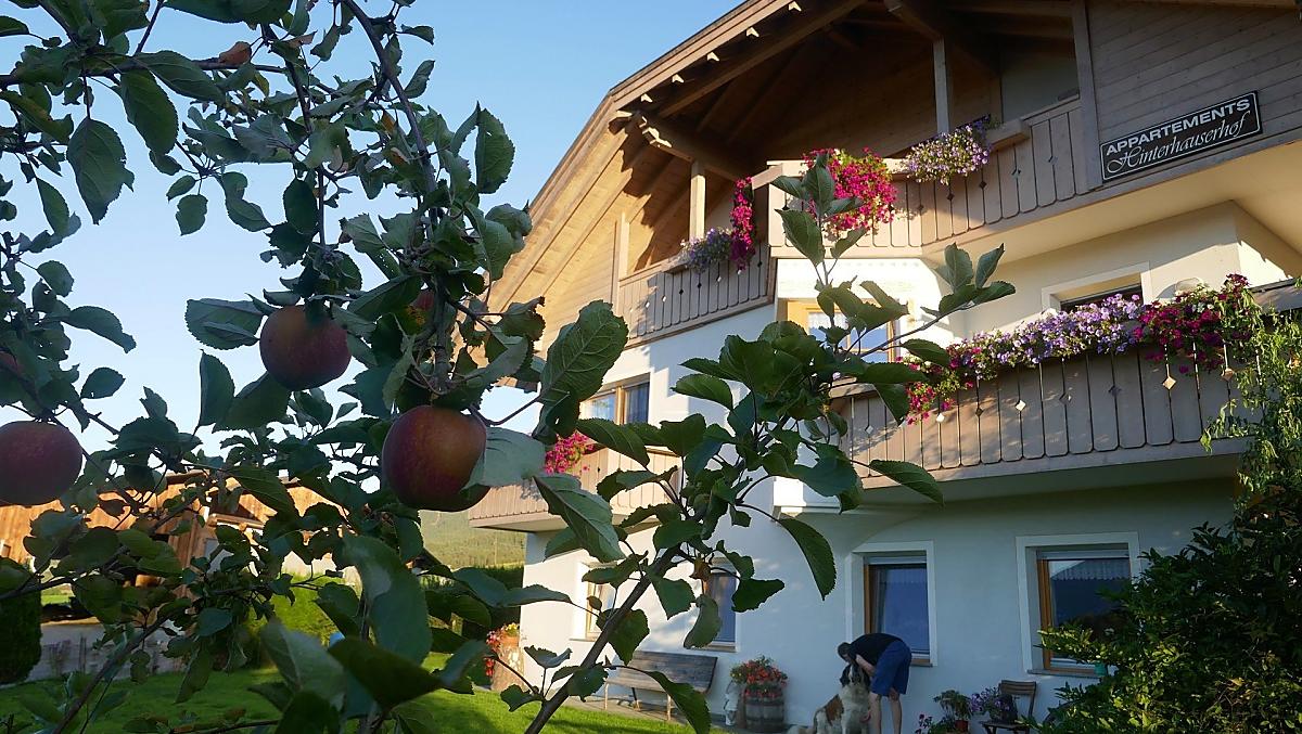 Hinterhauserhof - Galleria fotografica Photo