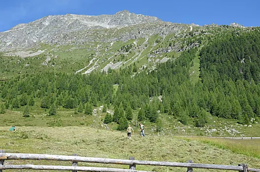 Bij het hooien op de Stalleralm