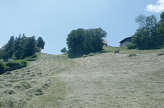 Aschnerhof - Elenco Photo