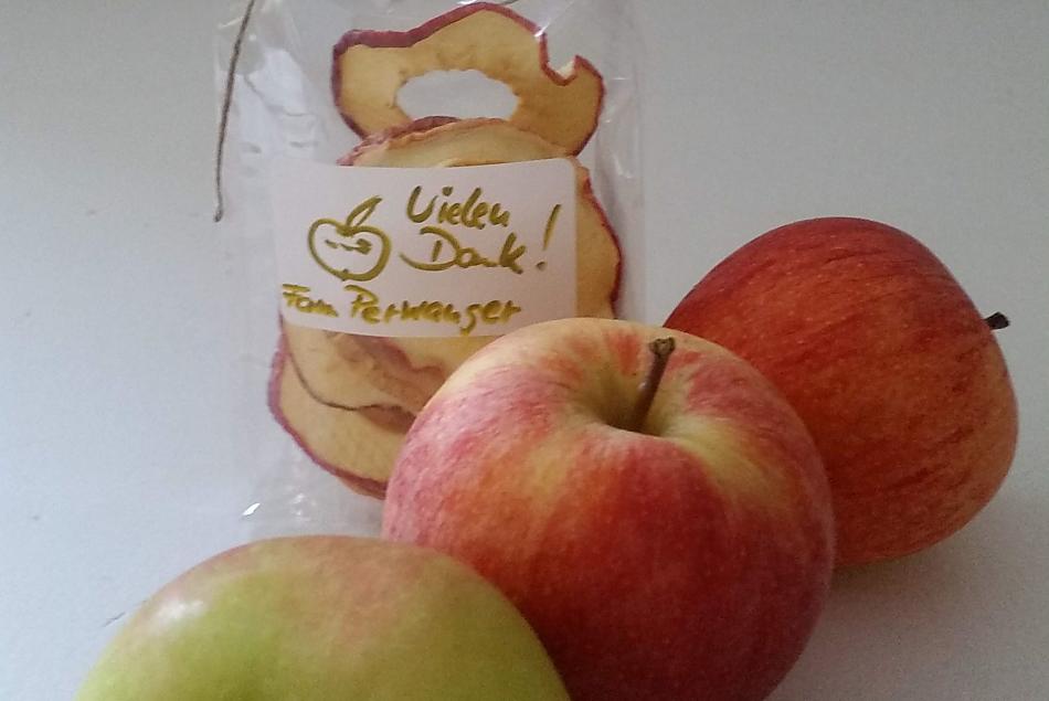 Verse appels proeven en gedroogd fruit