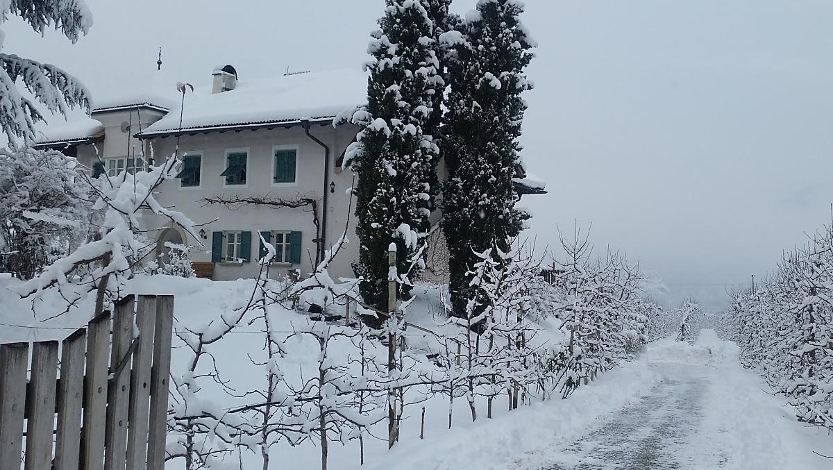 Sneeuwrijke winter