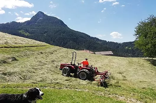 Hooien en boerderijhond Sultan