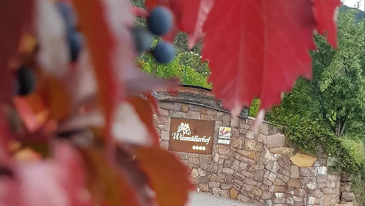 Herfst: Wandelen, wijn, welzijn