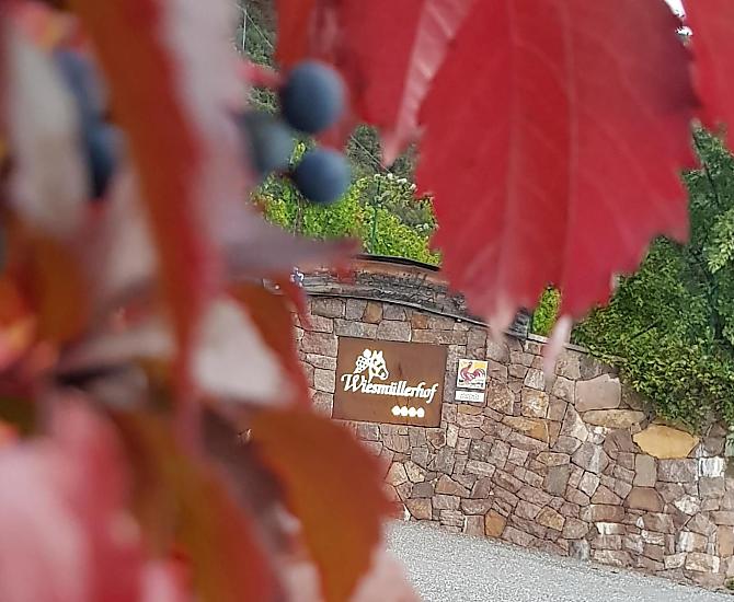 Herfst: Wandelen, wijn, welzijn