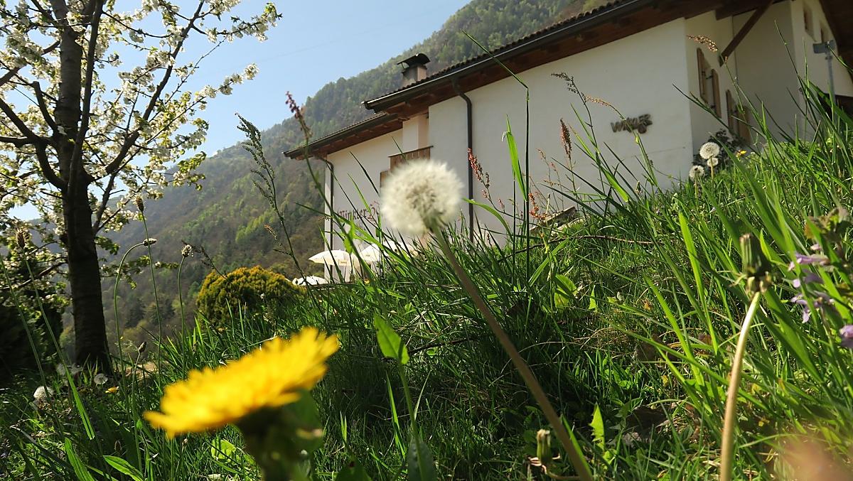 Winklerhof - Galleria fotografica Photo