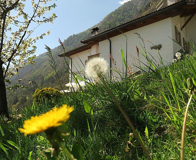 Winklerhof - Galleria fotografica Photo