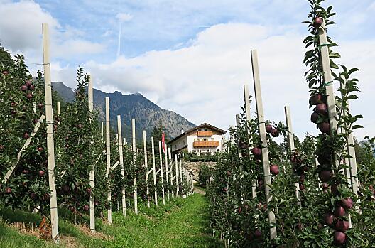 Winklerhof met appelboomgaarden