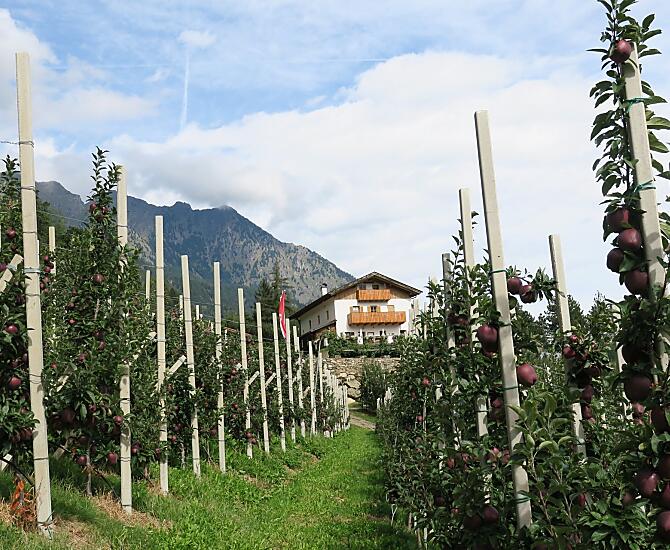 Winklerhof met appelboomgaarden