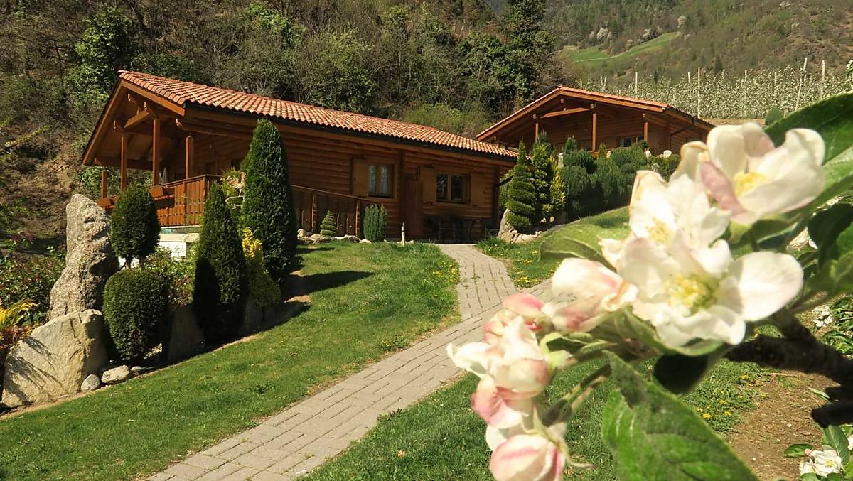 Vakantiehuisjes Talblick en Bergblick