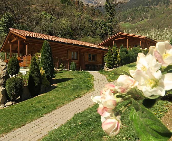 Vakantiehuisjes Talblick en Bergblick