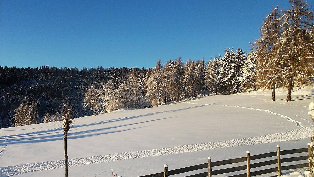 Onze weide met het pad dat omhoog leidt naar de Salten - ideaal op sneeuwschoenen