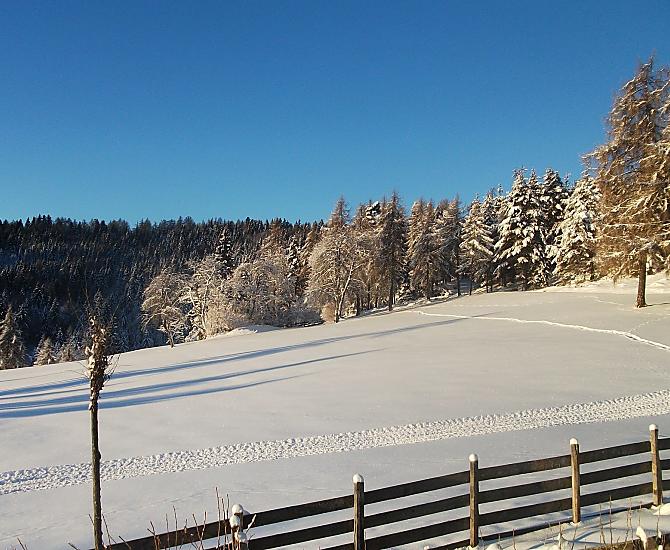 Onze weide met het pad dat omhoog leidt naar de Salten - ideaal op sneeuwschoenen