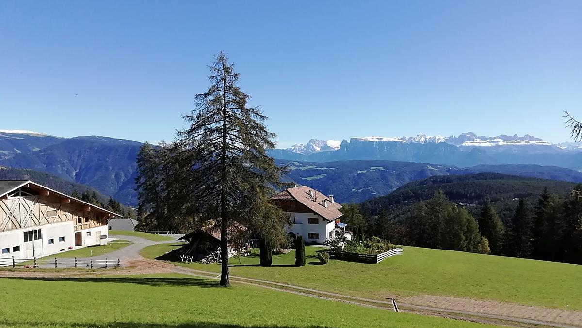 Blik op de Stücklhof met een fantastisch uitzicht op de Dolomieten met Schlern, Rosengarten, enz.