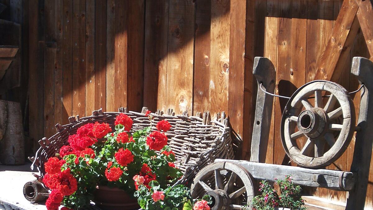Mijn "brandende liefde", de geranium voor het huis met oude landbouwwerktuigen