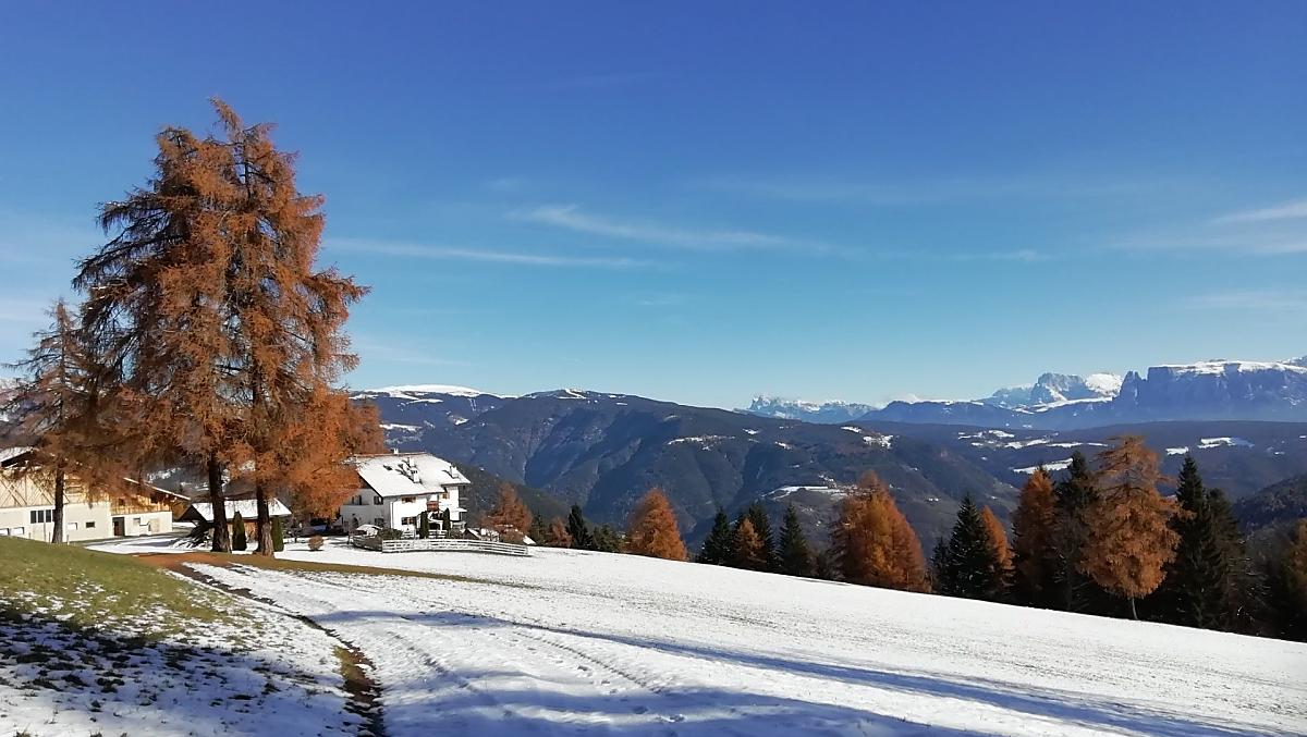 De Stücklhof met uitzicht op de Ritten en de Schlern - met prachtig gekleurde lariksen.