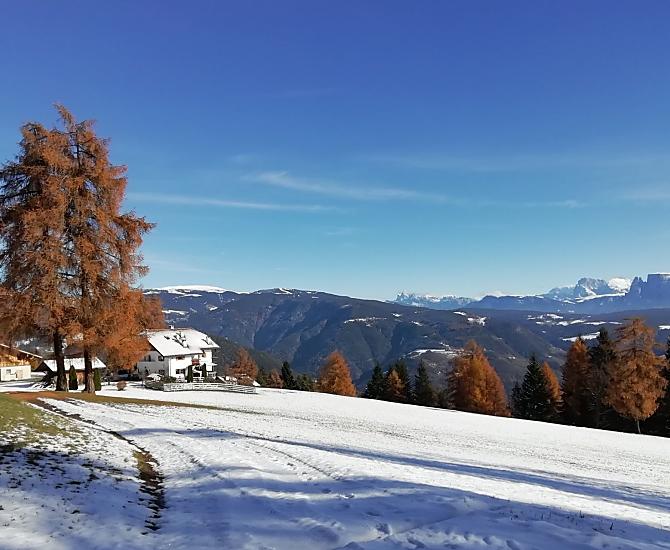 De Stücklhof met uitzicht op de Ritten en de Schlern - met prachtig gekleurde lariksen.