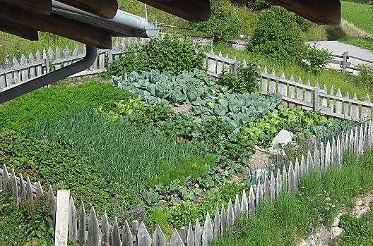 Tuin van het huis