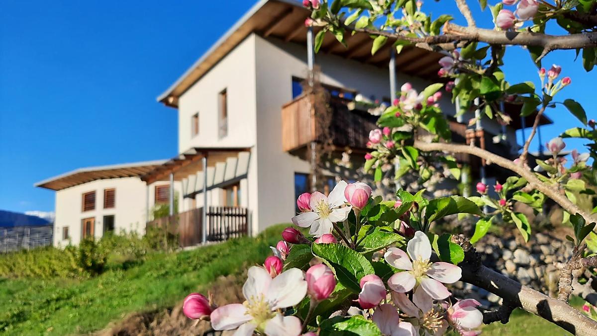 Frühling