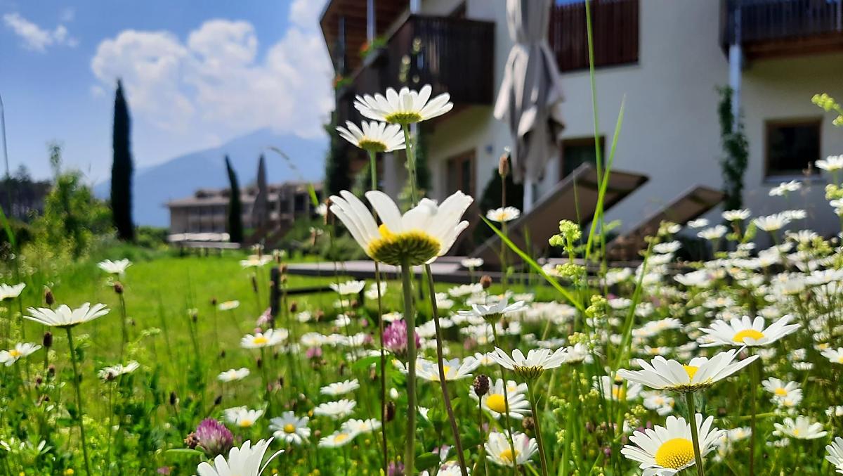Frühling