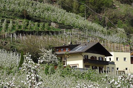 Oberbrunn-Hof - Elenco Photo