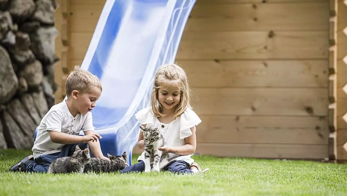 Katten Lilly en Otto