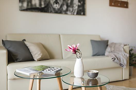 De Aviunshof biedt vakantiewoningen met echt thuisgevoel!